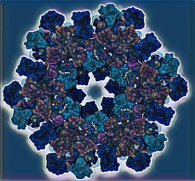 image "A Trimer of Plant Synthase Protein Complex" by Abhishek Singh