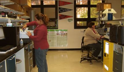 Two CLSF researchers working in the lab.