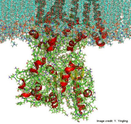molecular model illustration